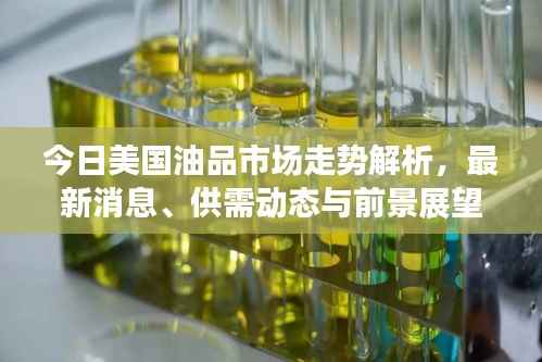 今日美国油品市场走势解析,最新消息、供需动态与前景展望