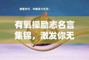 有氧操励志名言集锦,激发你无尽动力!