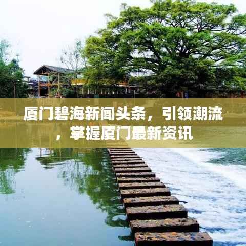 厦门碧海新闻头条,引领潮流,掌握厦门最新资讯