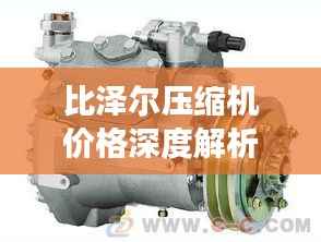 比泽尔压缩机价格深度解析,全面了解市场行情与报价