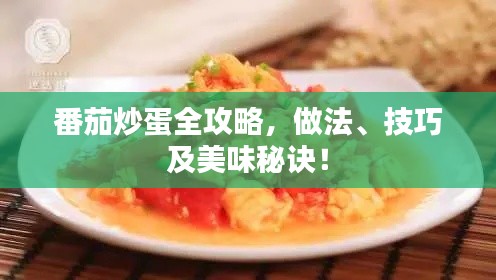 番茄炒蛋全攻略,做法、技巧及美味秘诀!