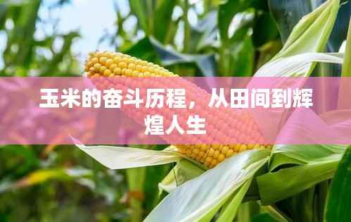 笃实好学 第4页