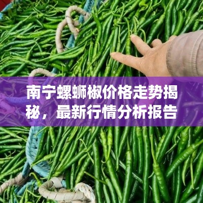 南宁螺蛳椒价格走势揭秘,最新行情分析报告!