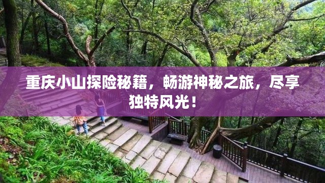 重庆小山探险秘籍,畅游神秘之旅,尽享独特风光!