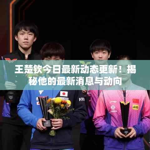 王楚钦今日最新动态更新!揭秘他的最新消息与动向