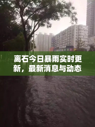 离石今日暴雨实时更新,最新消息与动态