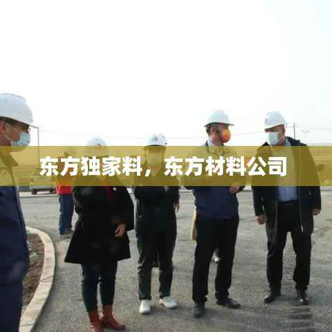 东方独家料,东方材料公司