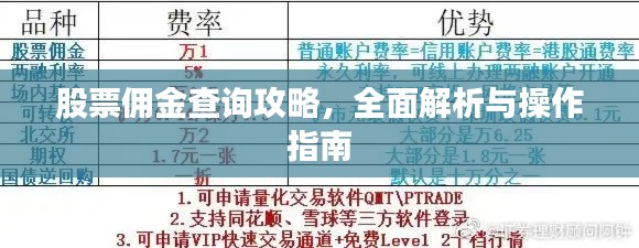 股票佣金查询攻略，全面解析与操作指南