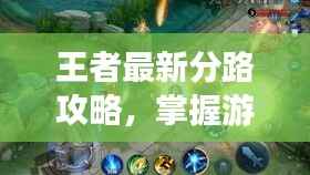 王者最新分路攻略,掌握游戏节奏,轻松上分冲刺王者之巅