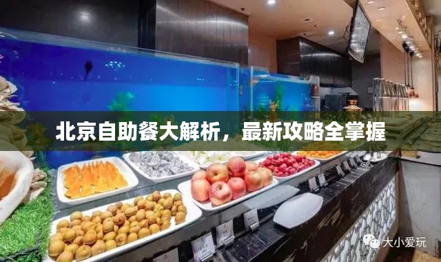 北京自助餐大解析,最新攻略全掌握
