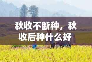 秋收不断种,秋收后种什么好