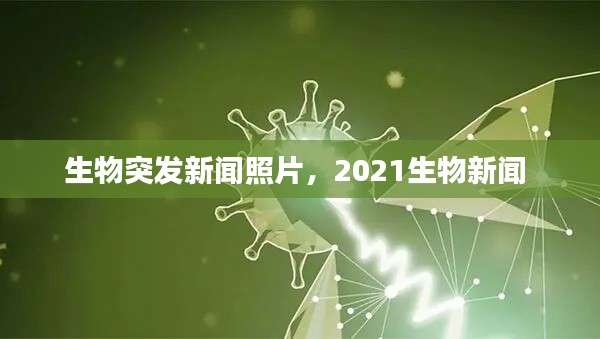 生物突发新闻照片,2021生物新闻