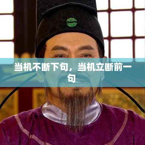 当机不断下句,当机立断前一句