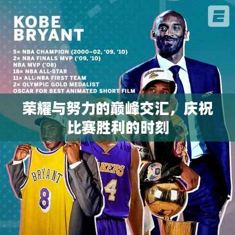 尽心竭力 第4页