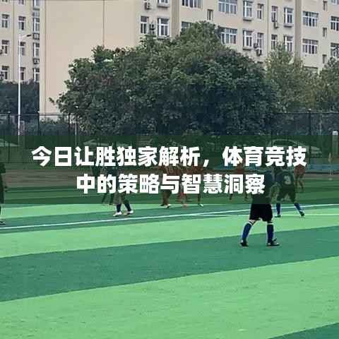 今日让胜独家解析,体育竞技中的策略与智慧洞察