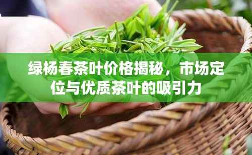绿杨春茶叶价格揭秘,市场定位与优质茶叶的吸引力